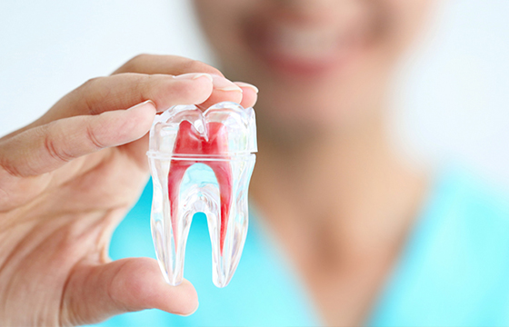 root-canal root-canal