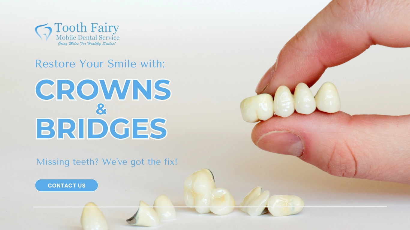 tooth fairy-Crowns & Bridges